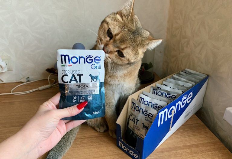 Корм для кошек Monge: экономно балуем питомца